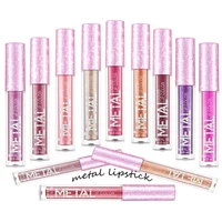 

NEW popular cosmetics metals lip gloss 12 color metallic glitter lipgloss make your own brand