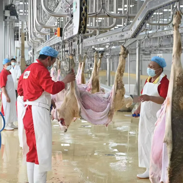 Automatic Halal Sheep Slaughtering Line Complete Goat Abattoir Machine Industrial Sheep Hair RemoveMachine for Meat Plant