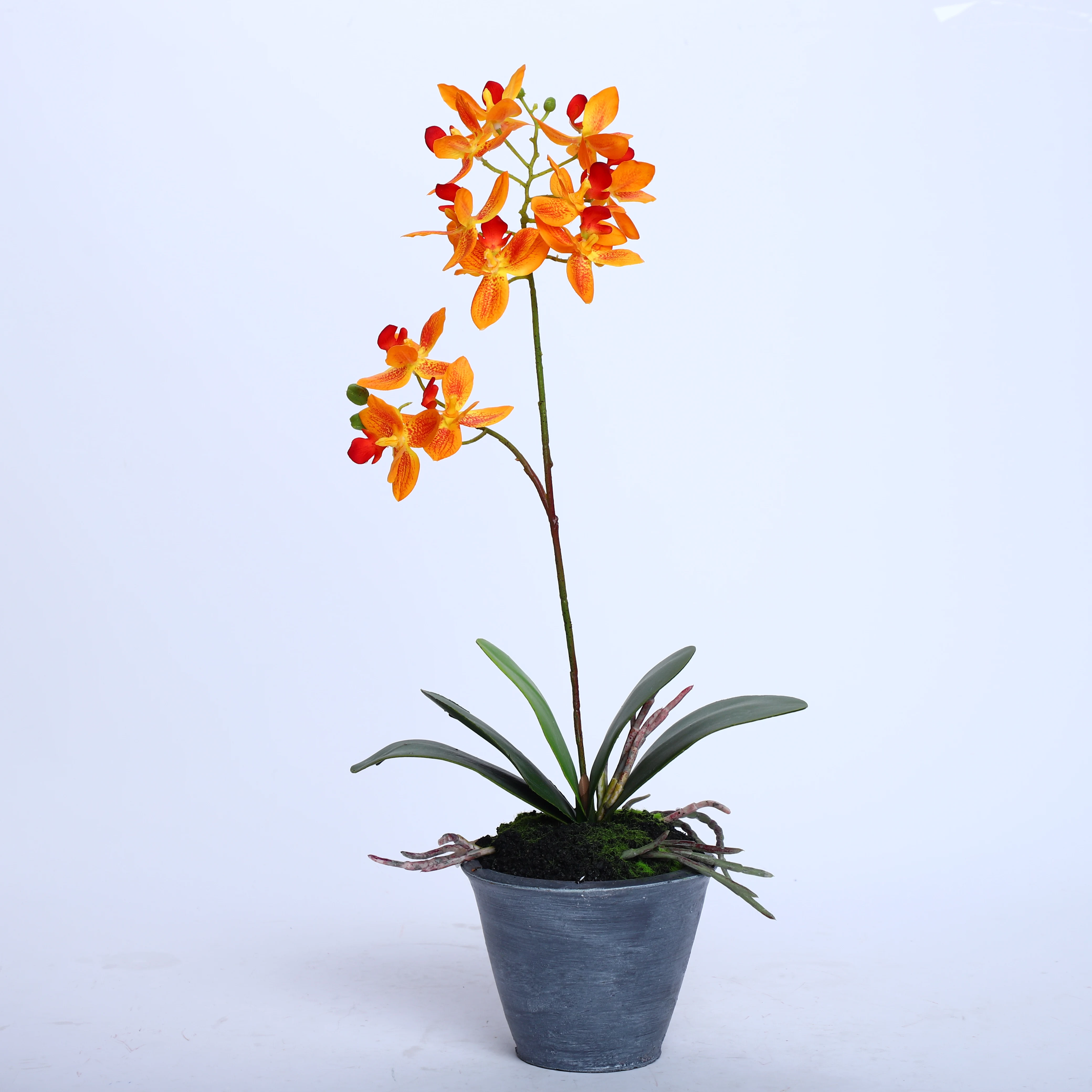 

Factory Direct Sale Silk Orchid Assortment Artificial Garden Decor Real Touch Flower Phalaenopsis