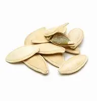 
Cheap price white pumpkin seeds with AA grade hot selling 