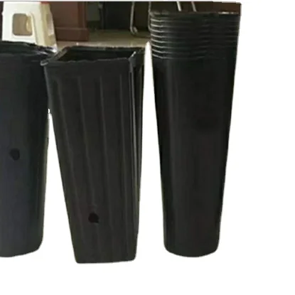 

Orange Grape Plastic Nursery Tree Pots Deep Pots, Black