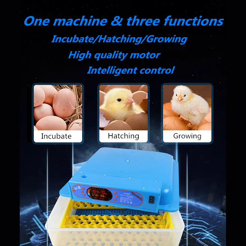 Incubator egg tray price in bangladesh