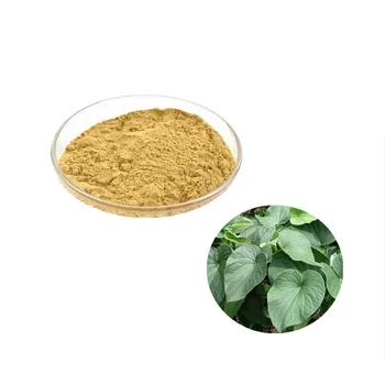 Best Price Buy Kava Seeds Wholesale High Pure Kavalactones Kava Extract ...