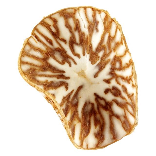 
High Quality Whole / Half Betel Nut for Wholesale 