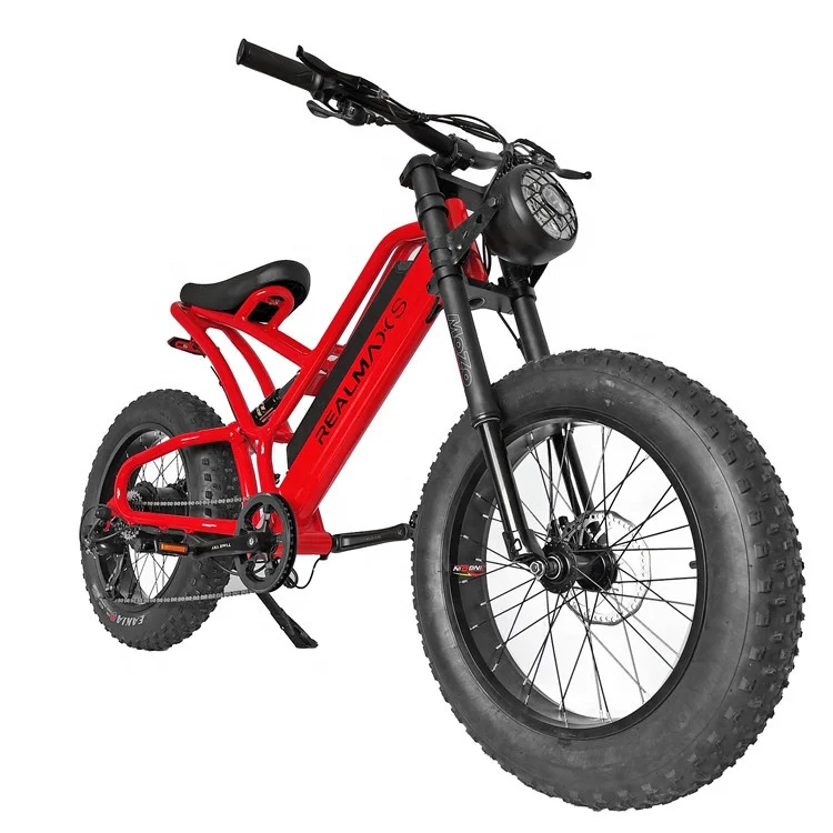 

REALMAXS Big tire 500W 750W 1000W 48V Motorbike Bike Dirt Electric Bicycle