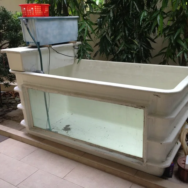 Wholesale Aquarium Koi Pond Frp Fiberglass Fish Tank With Viewing
