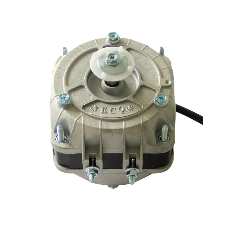 ECQ Motor 0.jpg