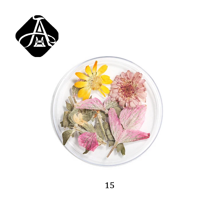 

AH 3D Nail Art Decoration Real Dry Dried Flower For UV Gel Acrylic Nail Art 22 Colors, 22designs