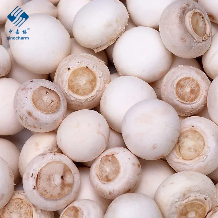 
New Crop Delicious White Frozen Mushroom Champignon Frozen Shiitake 
