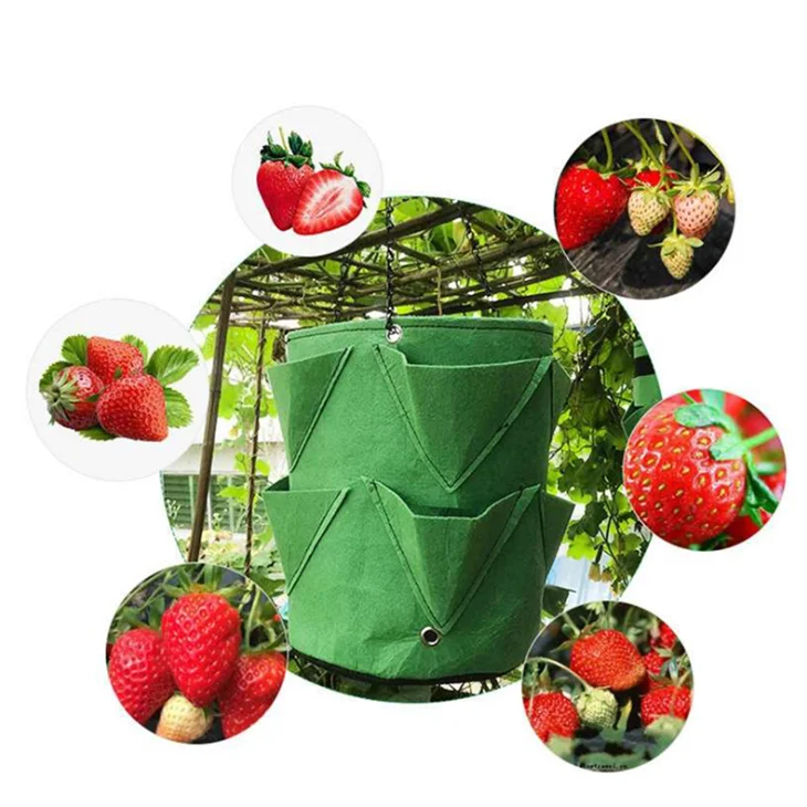 Eco-friendly Non-woven Plant pot Grow bag For Planting