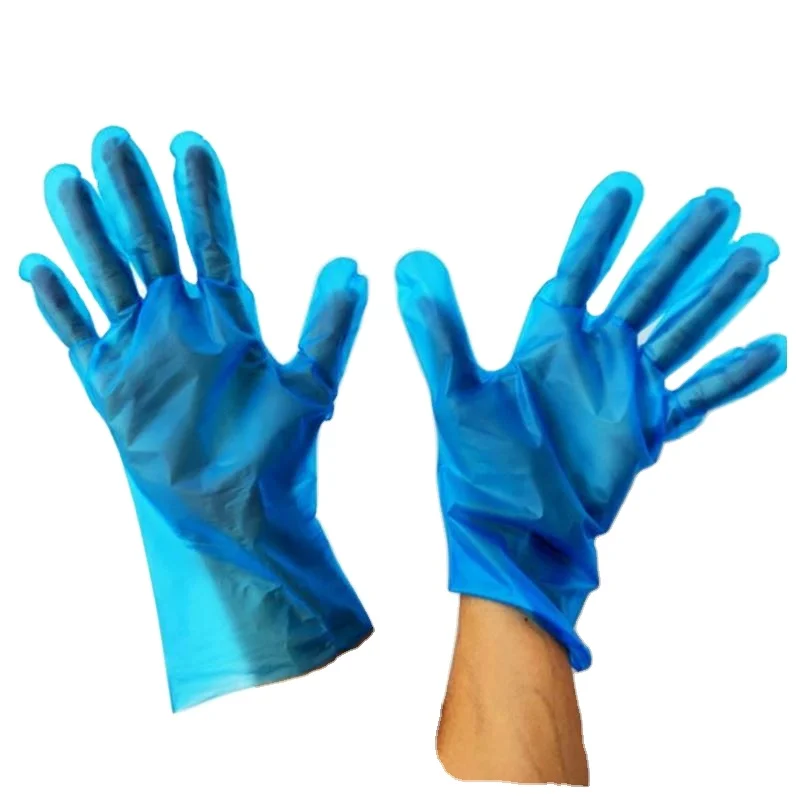 

Rizhao HUAHANG Made In China tpe gloves powder free blue Plastic Cpe Tpe disposable Gloves, Customized