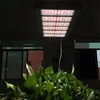100-277v meanwell driver High efficient systems led grow light 600 watt 300 watt led grow red for flowering