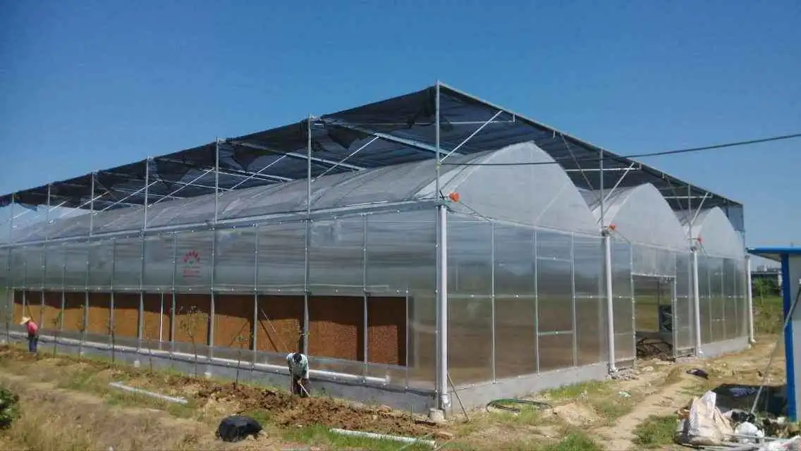 High Performance Venlo Polycarbonate Greenhouse with Complete Systems