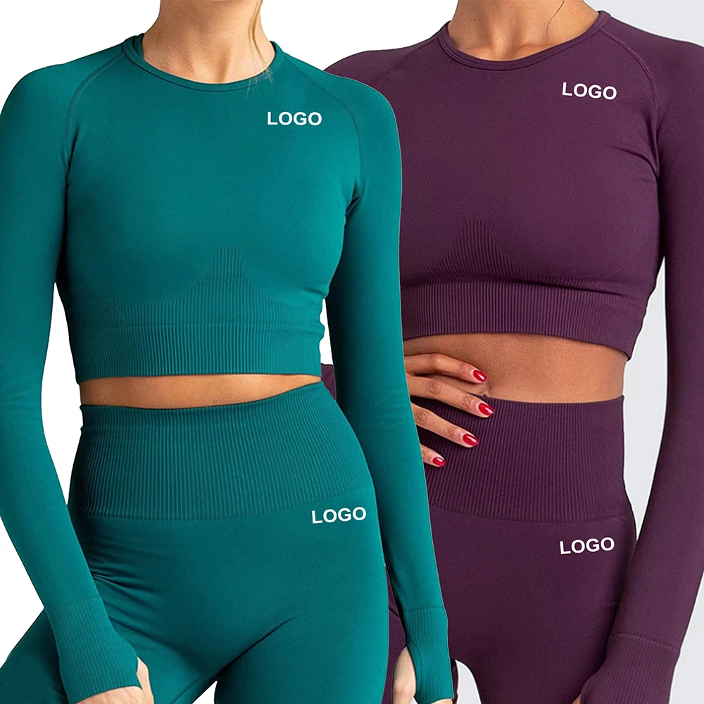 

Wholesale Workout Set Long Sleeve Exercise Fitness Clothing Two Piece Seamless Yoga Set 2021