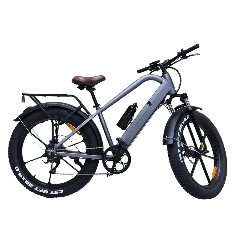 

Factory wholesale 48V Fat Tire e delicate bike Electric Bike 26' Aluminium Frame Adult 2 Wheel Electric Bicycle