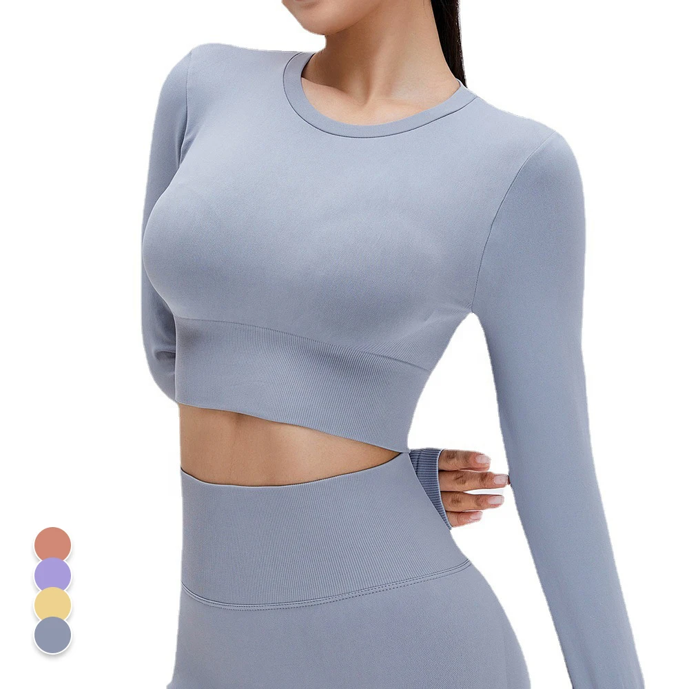 

Ama Larsi Wholesale Athletic Wear Women Autumn Elastic Long Sleeve Yoga Gym Fitness Sports Crop Top