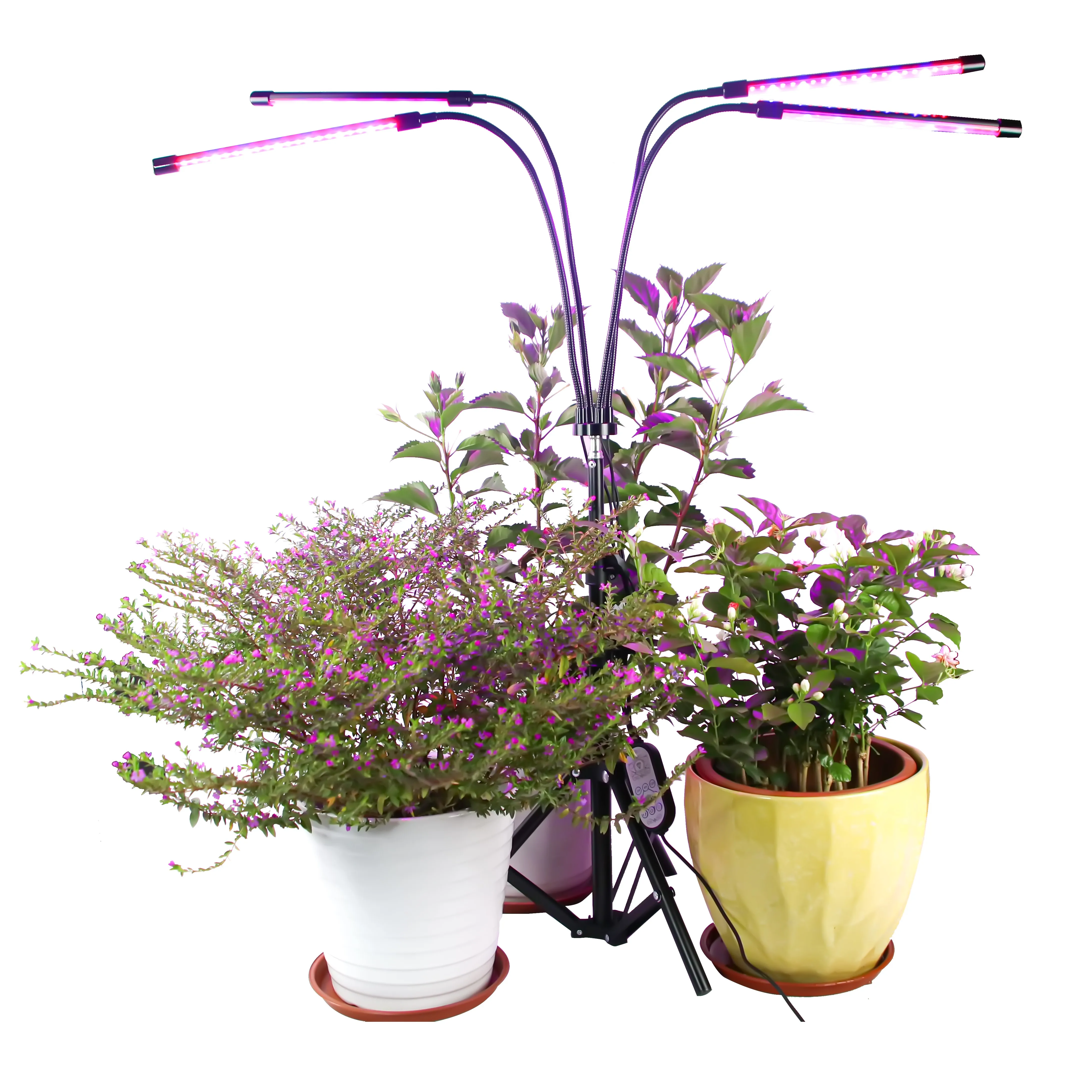 

Hot selling 4 Head 40W LED grow light with tripod stand Clip Adjustable Height Indoor Plant Grow Lamp remote control