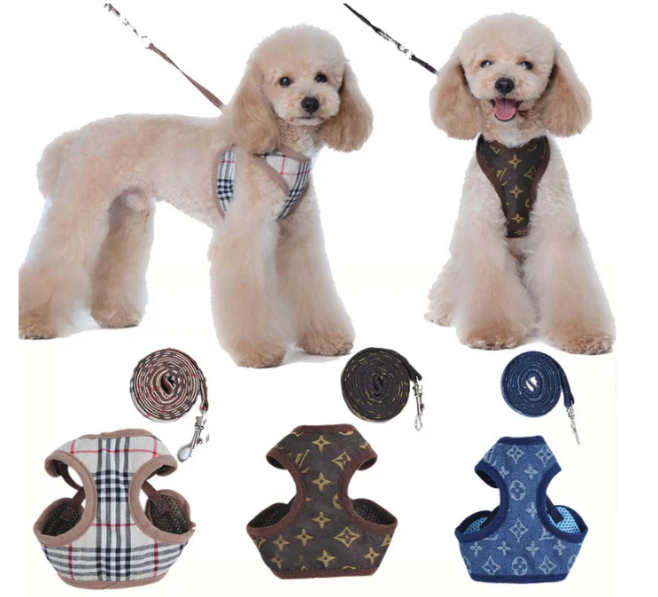 

High Quality Luxury New Fashion Pet Necklace Dog Collar Pulling Rope Outdoor Tow Rope Pet Supplies