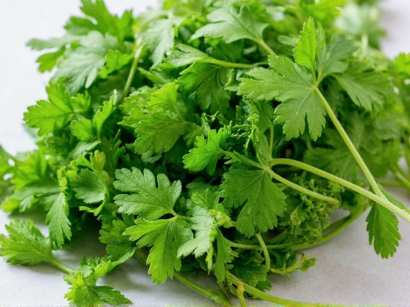 Best Parsley Substitutes: 7 Practical Replacements for Cooking
