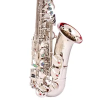 

Alto Instrument Accessories Professional Eb China Sax Saxophone Alto