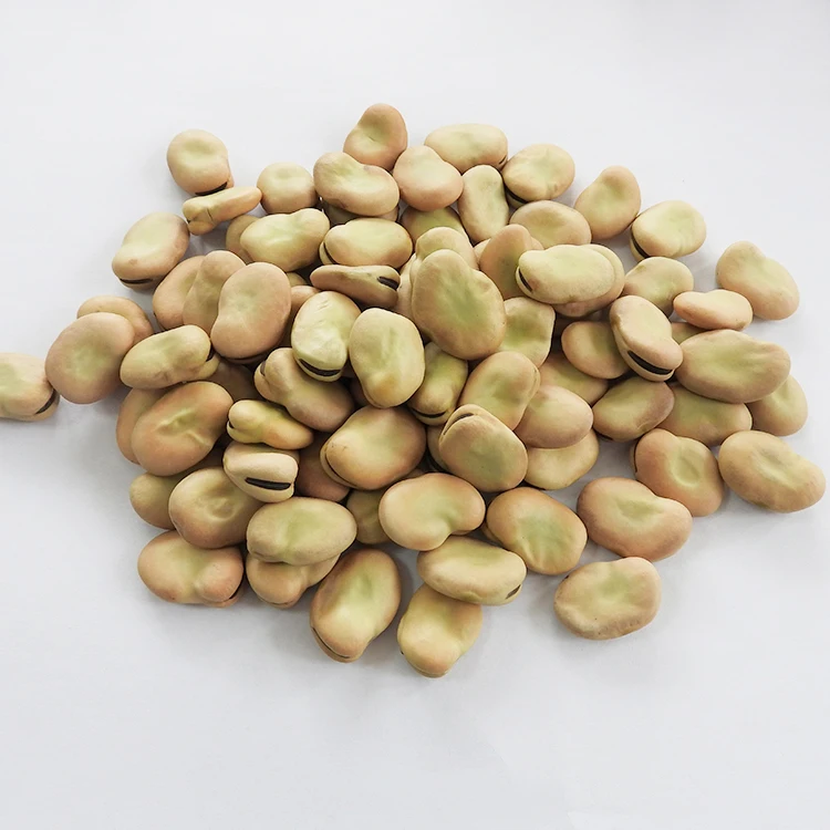 
Hot Sale Horse Bean Bean Babas Wholesale 