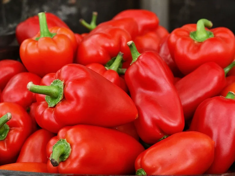 World's Top 10 Hottest Peppers Ranked by SHU (2024)