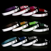 

12 colors In Stock Low MOQ Dog Accessories Pet Collars Factory Price 2019 Newest Luxury Reflective Dog Collar And Leash Set