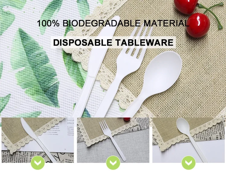 Disposable Plastic Cutlery Spoon And Fork Compostable Cutlery Set Buy