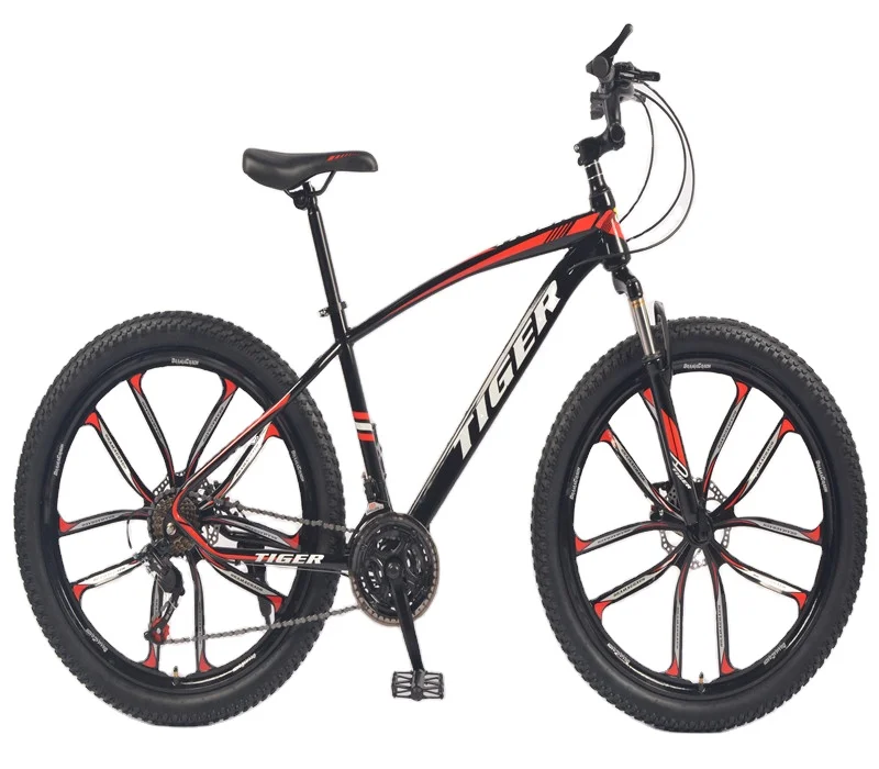 

3.0 NEW Beach Mountain Bike Fat Tire Bike