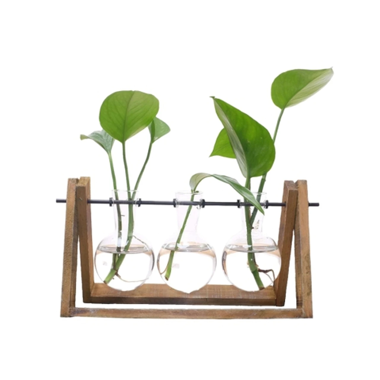 

Indoor Plant Terrarium with Wooden Stand Air Planter Bulb Glass Vase Metal Swivel Holder Retro Tabletop for Home Decoration, Clear