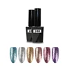 OEM Manufacturer Queen Shining builder Soak Off UV Nail 24K Platinum Gel Polish private label