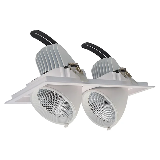 Hot sale price Dimmable 2*12W 2*40W trimless downlight led double double head led recessed downlight