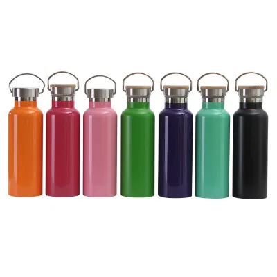 

P827 17oz Water Bottle Vacuum Insulated Stainless Steel Travel Mug, Colors
