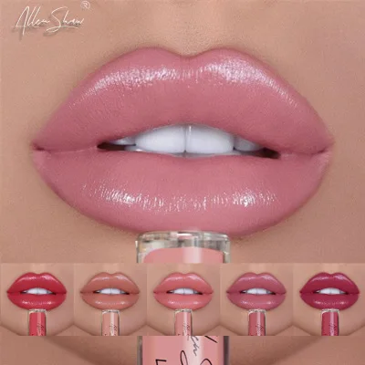 

Cosmetic Cute Pink Waterproof Moisturizing Lipstick Matte Red Liquid Lip Gloss
