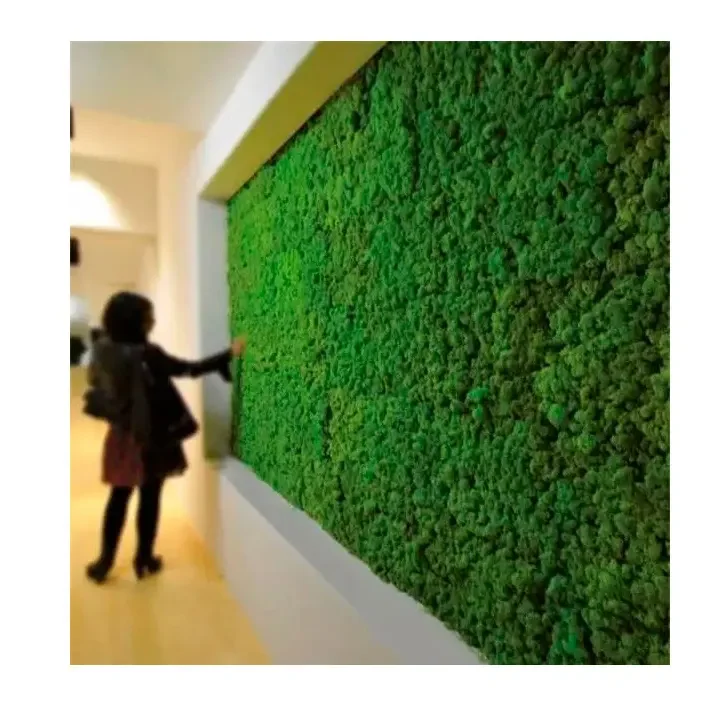 

wall paper musgo floresta Wholesale reindeer moss wall preserved green wall natural musgo preservado