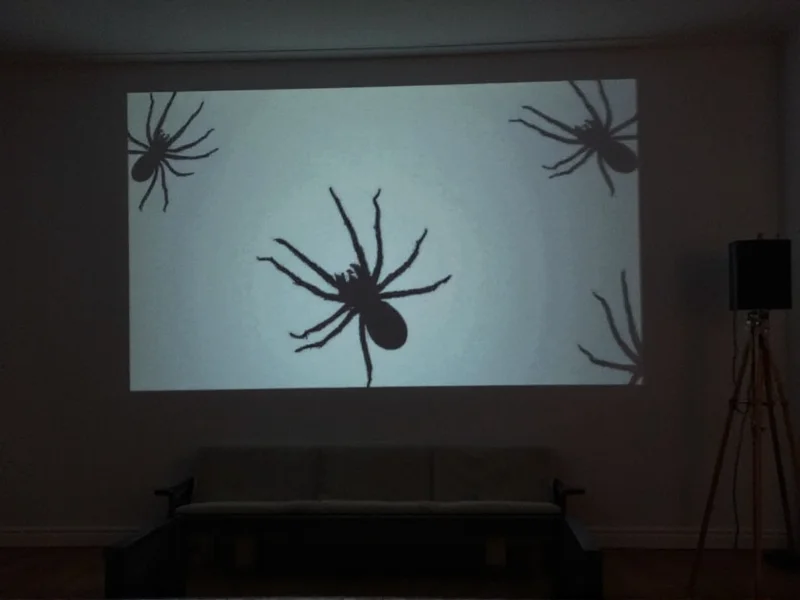 Black spider silhouettes projected on living room wall