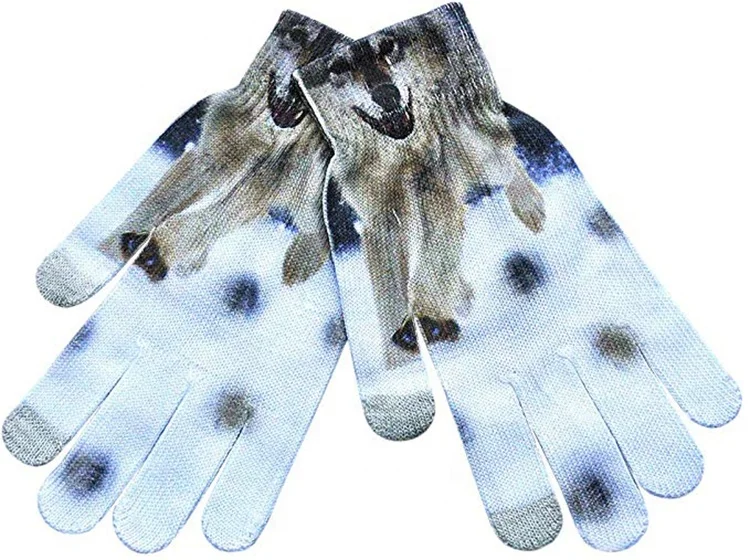 Touchscreen gloves (2)