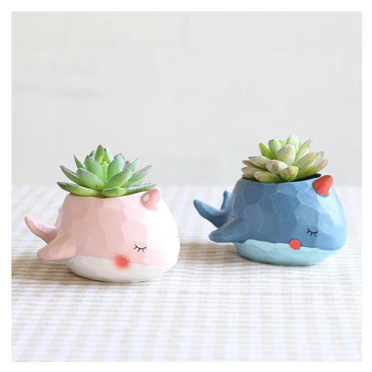 

Cute Cartoon Whale Island Micro Landscape Potted Succulent Flower Pot Indoor