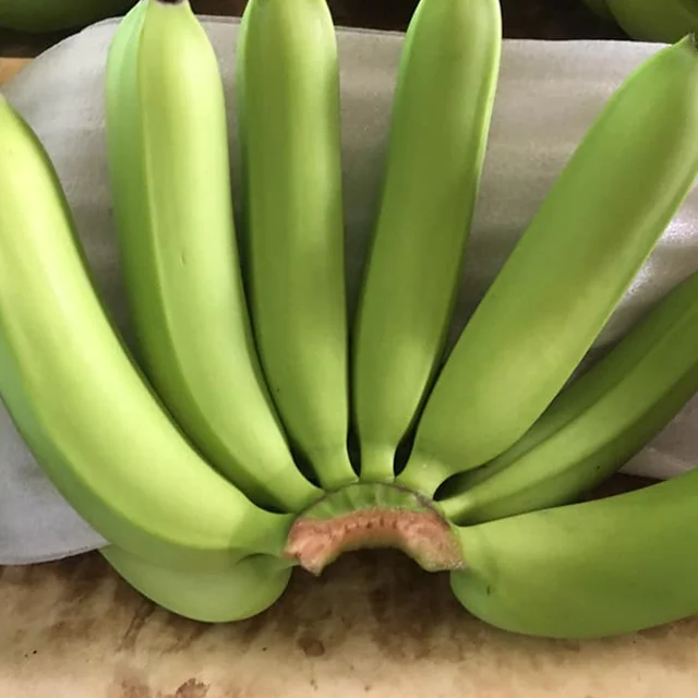 
Organic fresh cavendish banana hot 2020 for sales packing carton 9-13-13.5kg 