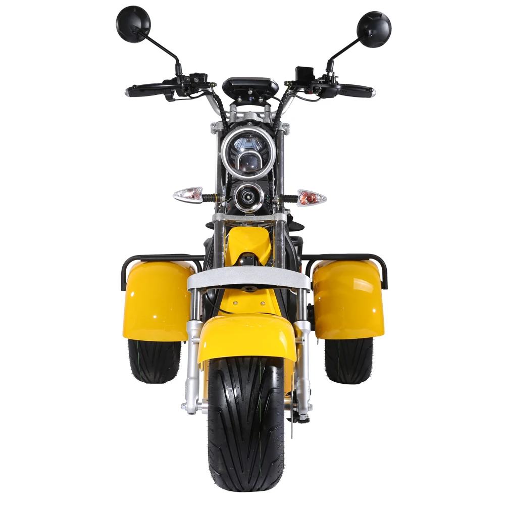 

Door to Door shipping Factory Price Citycoco 3 wheel motorcycle, Customizable