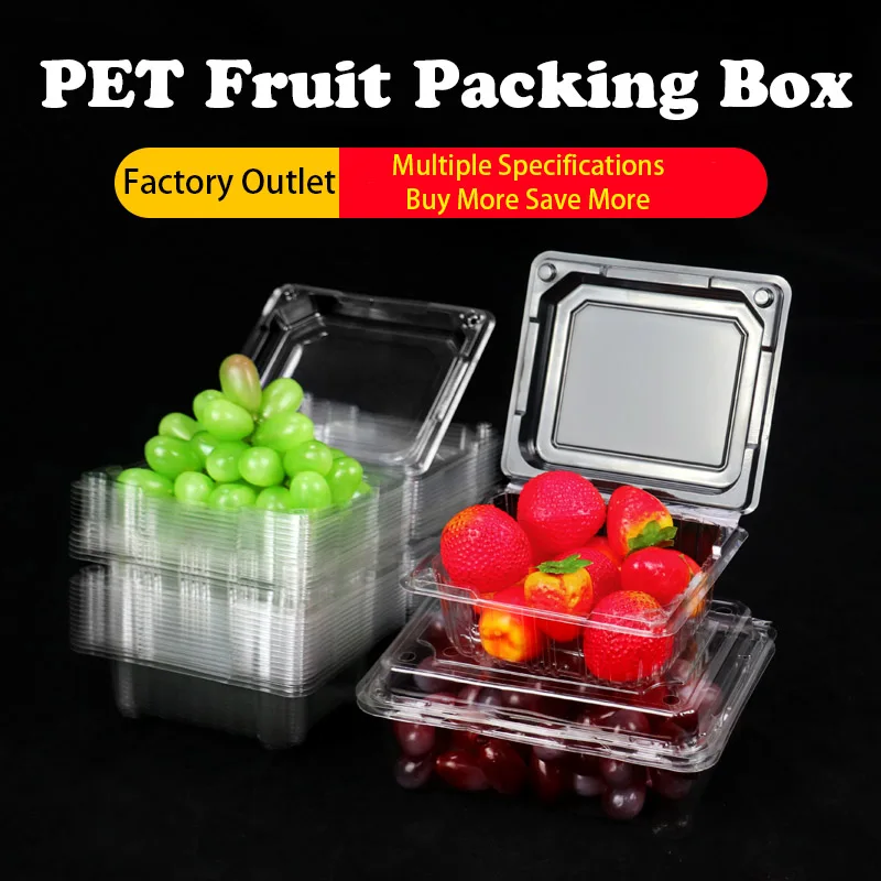 Kitchen Plastic Storage Box Refrigerator Fruit Vegetable Drain Crisper with Lid