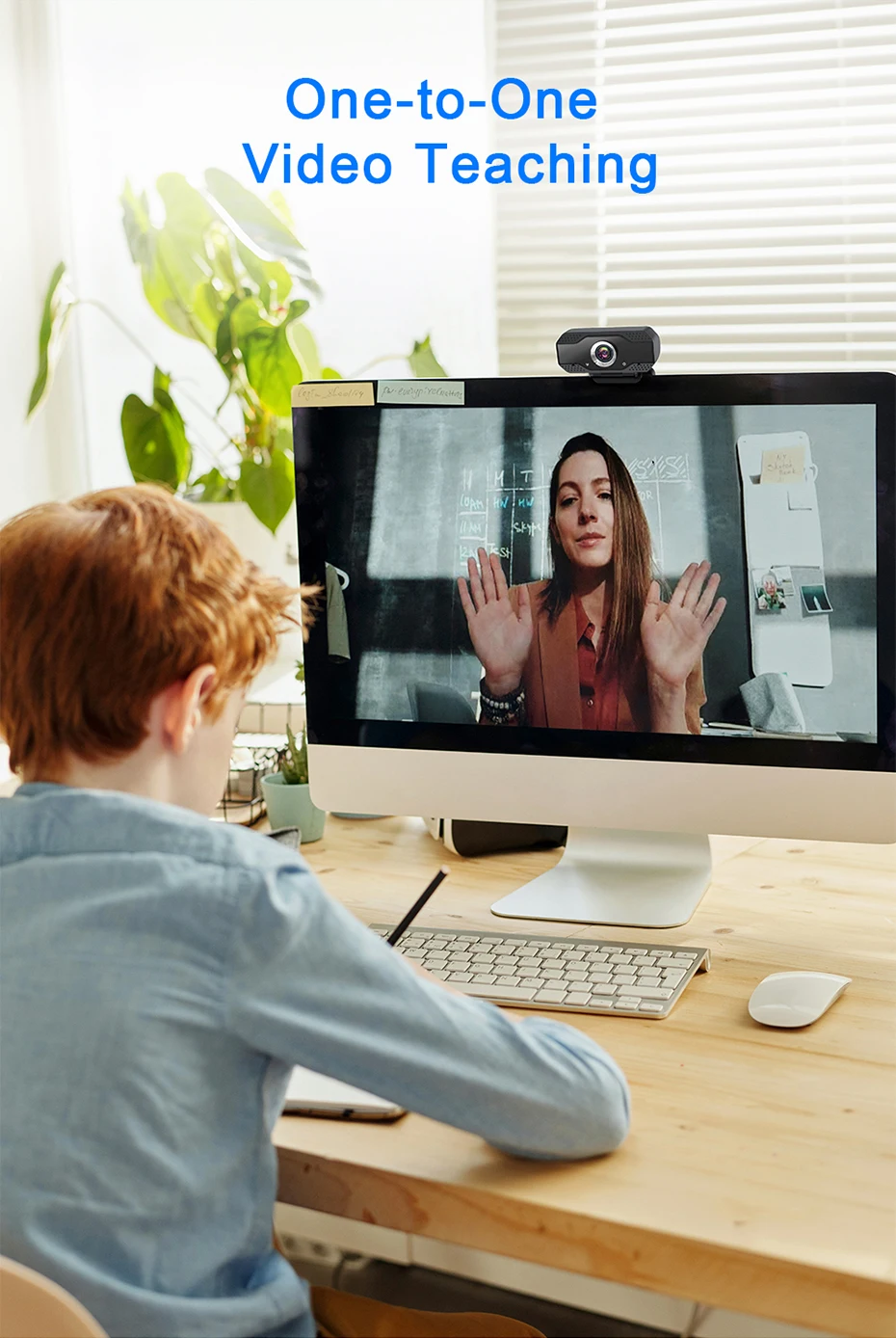 ONLINE TEACHING WEBCAM (2).jpg