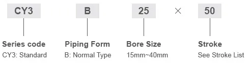 1CY3B-Order Code.jpg