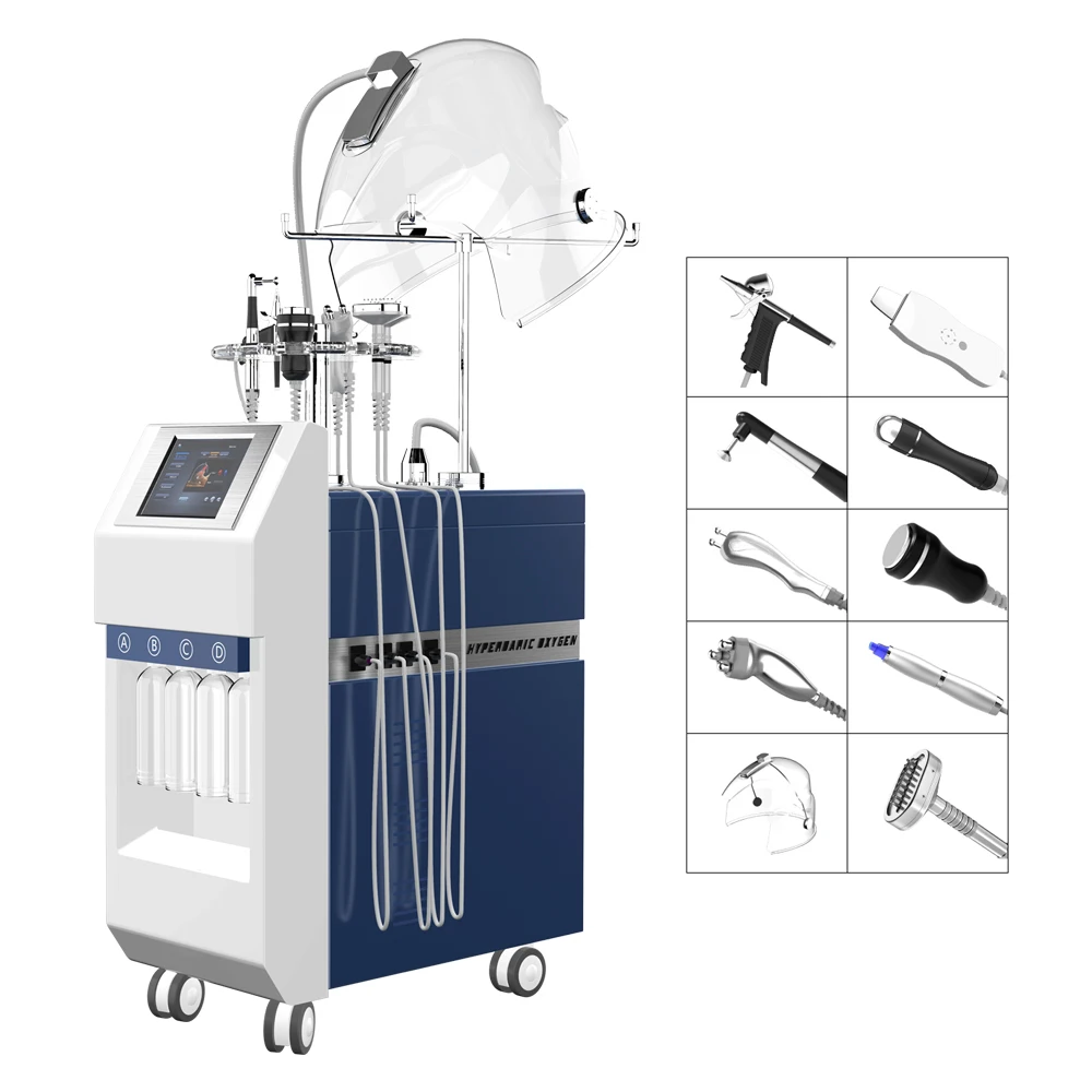 

Multi-Functional Beauty Equipment 10 in 1 Ultrasonic RF BIO Hydra Co2oxygen Hydrofacials Machine for Sale