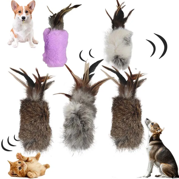 Cat Toys Interactive Squeaky Pet Toys Cartoon Mice Cat Teething Chew Toy for Indoor Cats Promotes Kitten Exercise
