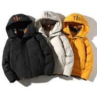 

2020 new model basic solid color hood winter man jacket padding jacket mens puffer jacket