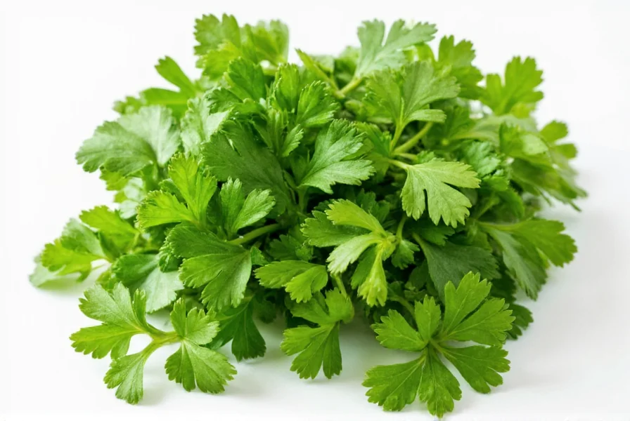 Dried cilantro