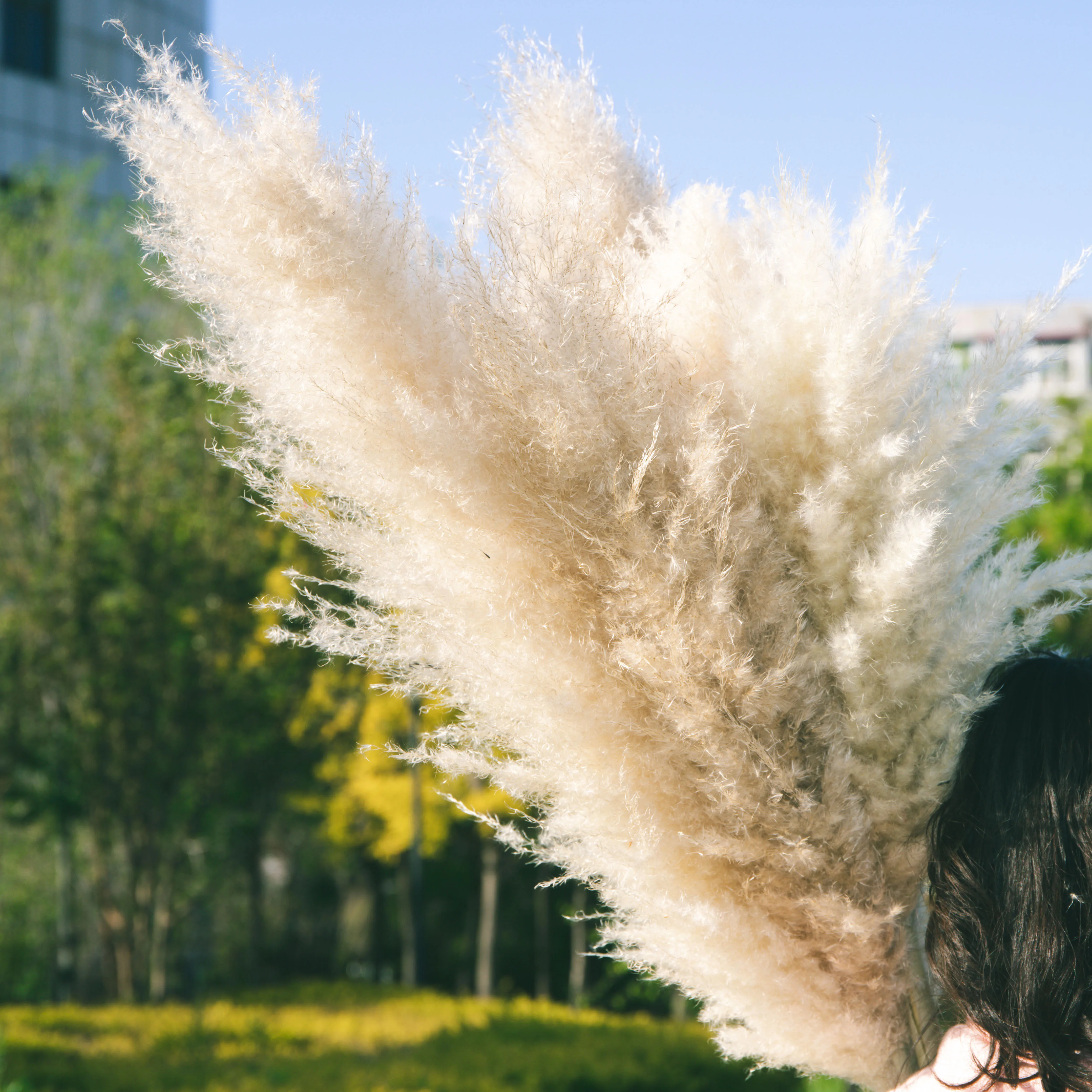 Artificial Pampas Grass Dried Flowers Tall Long Reed Grass