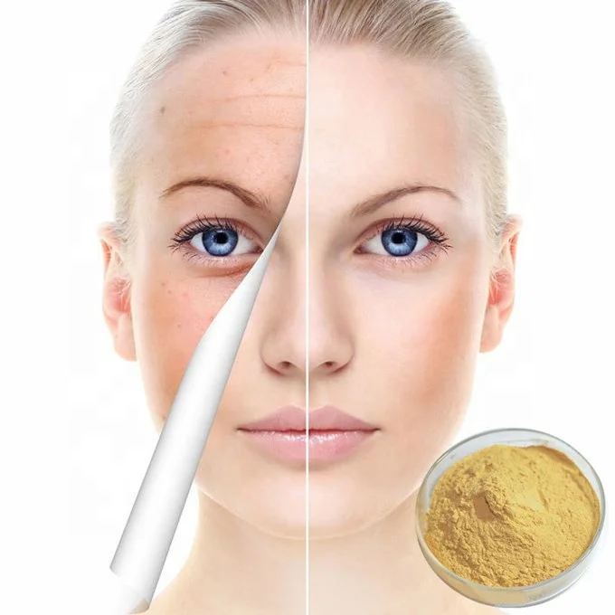 anti-aging Caffeic acid powder 331-39-5 3 4-dihydroxy-cinnamic acid pure Caffeic acid