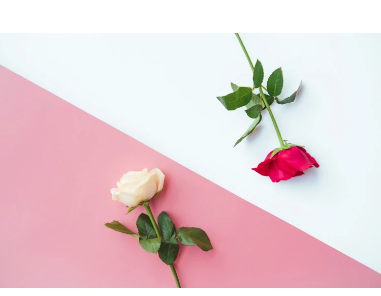 PVC backdrop (12).jpg